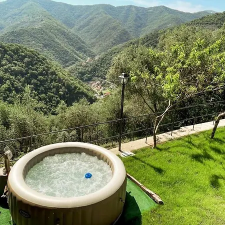The Olive Trees- Jacuzzi-garden-wifi-barbecue-parking Avegno